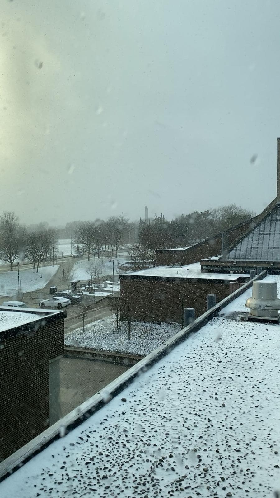 First snow falling onto a rooftop