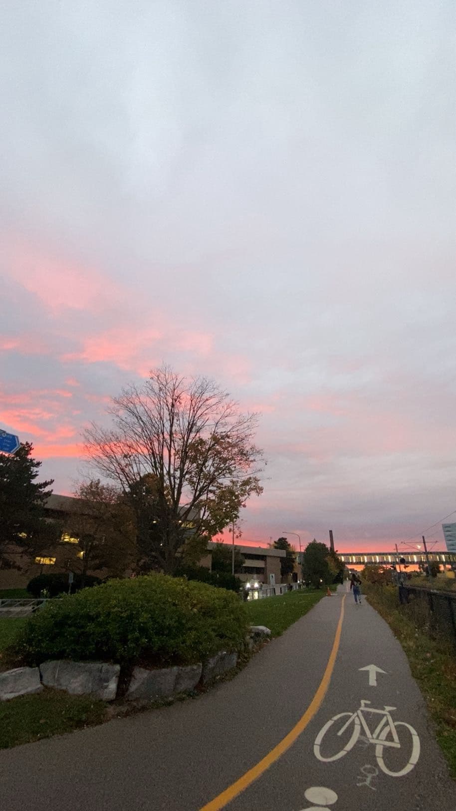 Sunset run
