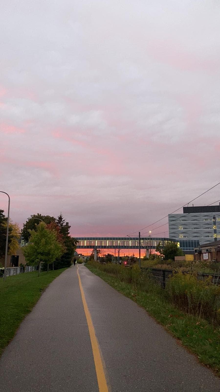 Pink sunset over a bridge along the campus path